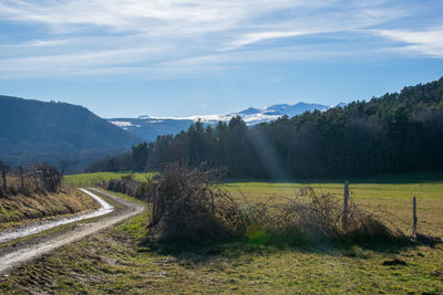 Scenic view of field against sky