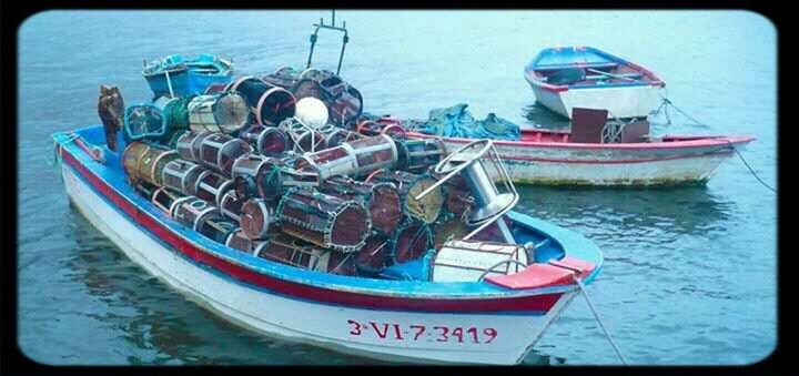 nautical vessel, moored, water, boat, transportation, mode of transport, sea, blue, harbor, day, transfer print, waterfront, auto post production filter, outdoors, no people, in a row, sky, beach, group of objects, buoy