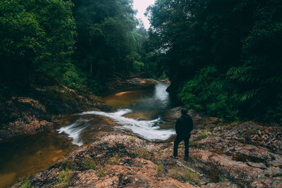 Man standing on rocks in forest