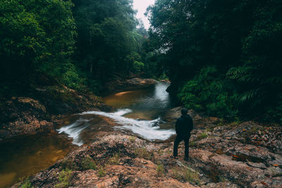 Rear view of man standing at waterfall in forest