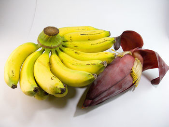 High angle view of fruits on white background
