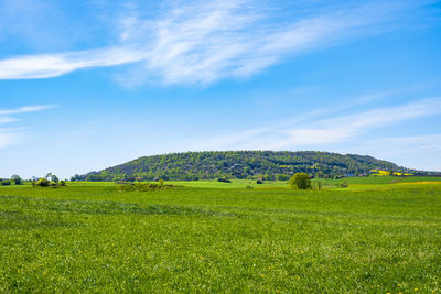 Scenic view of field against sky