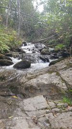 Stream flowing through rocks in forest