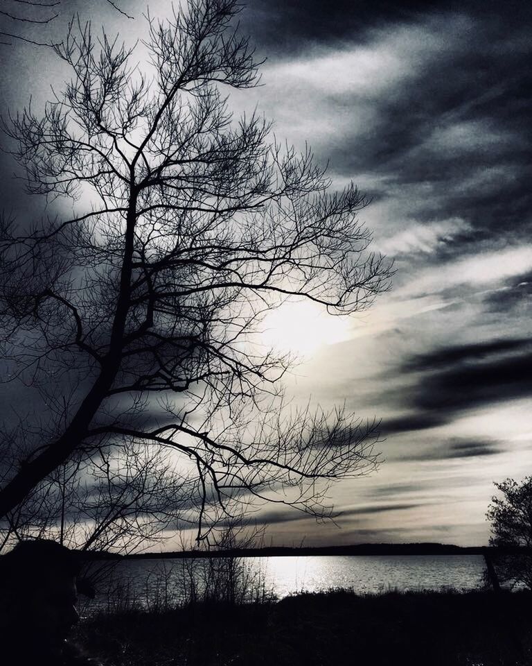 LOW ANGLE VIEW OF BARE TREES AGAINST SKY