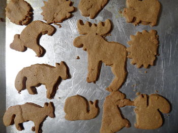 Directly above shot of cookies on white surface