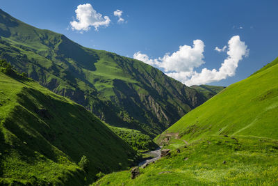 Beautiful mountain gorge with a river in the mountains of chechnya. 
