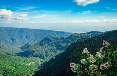 Mountain range covered with green forests and bright blue sky at afternoon from flat angle