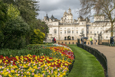 Colorful flowerbed with household division carity in background