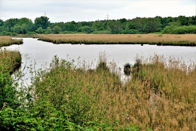 Scenic view of river against sky