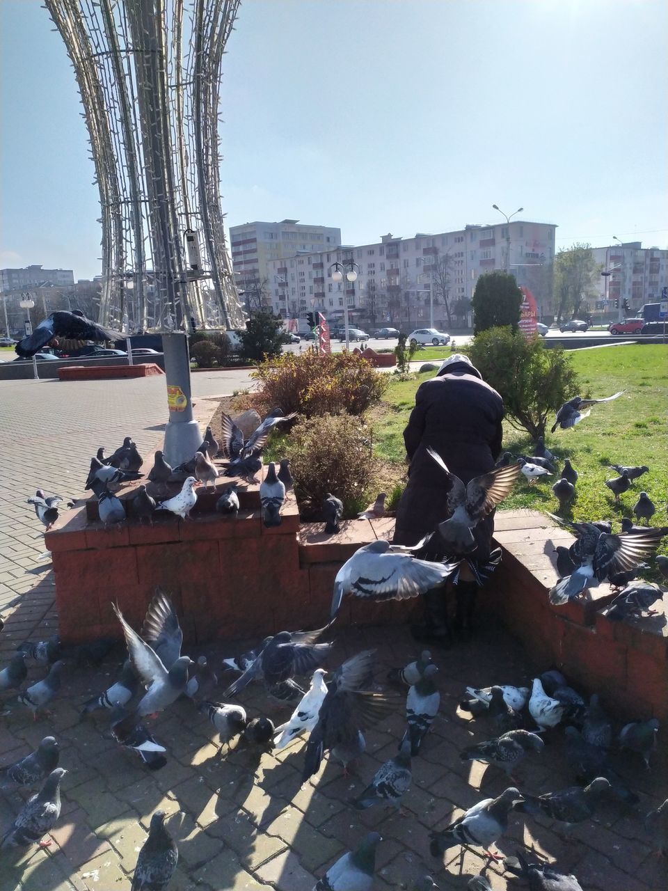 VIEW OF HORSE SCULPTURE IN CITY