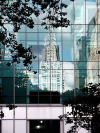 Reflection of trees on modern glass window