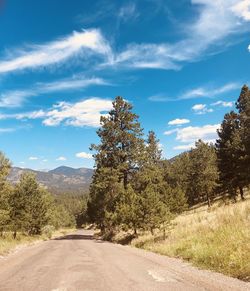 Empty road along trees and plants against sky