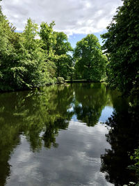 Reflection of trees in lake against sky