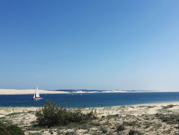 Sailboat sailing on sea against clear blue sky