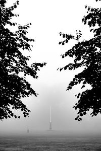 Silhouette of trees and sea against sky