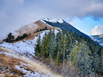 Scenic view of snowcapped mountain against sky