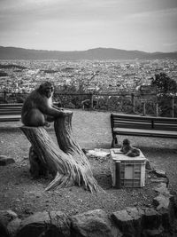 Side view of monkey sitting on mountain against sky