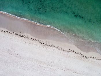 High angle view of beach