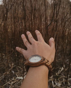 Close-up of cropped hand