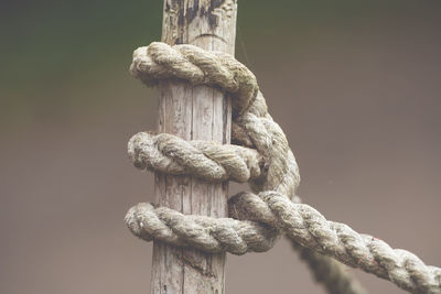 Close-up of rope tied on wooden pole