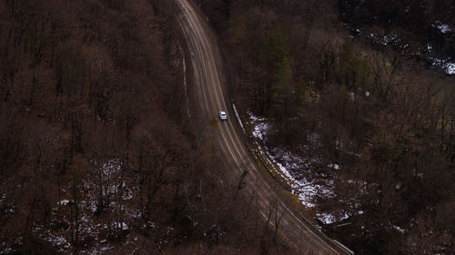 High angle view of road amidst trees in forest