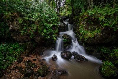 View of waterfall in forest