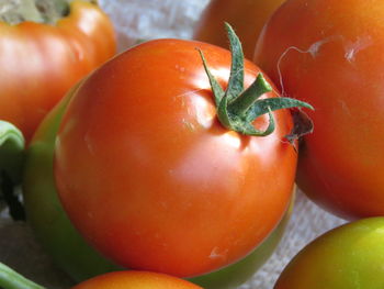 Close-up of tomatoes