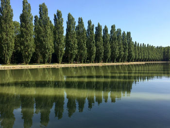 Scenic view of lake against clear sky