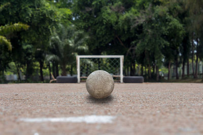 Close-up of ball on tree