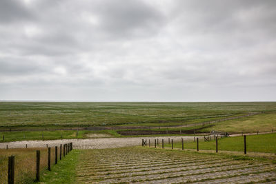 Scenic view of agricultural field against sky