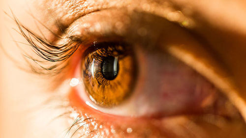 Extreme close-up of eye