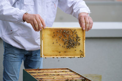 Beekeeper removing the honeycomb with honey