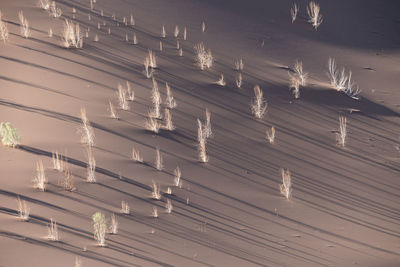 Full frame shot of illuminated light bulbs