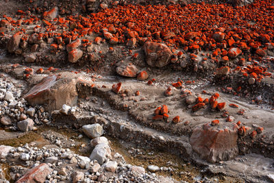 Red rock on landscape