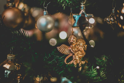 Close-up of christmas tree