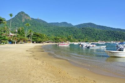 Scenic view of beach against clear sky