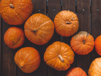 A batch of seasoned pumpkins lie on a wooden platform