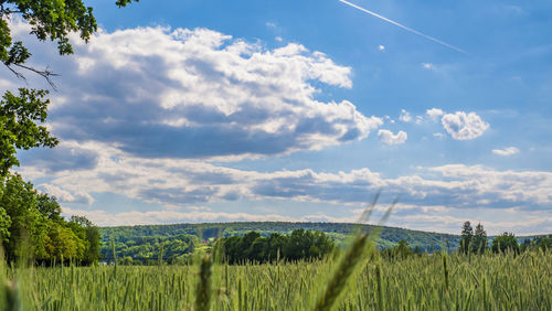 Scenic view of field against sky