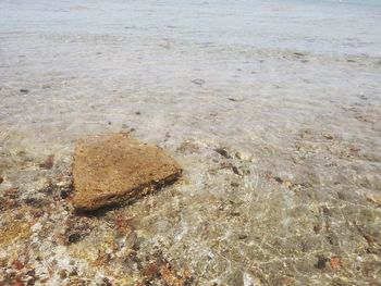 High angle view of sand on beach