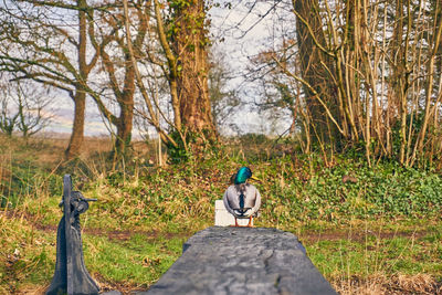 Rear view of bird perching on a tree