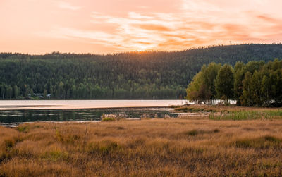 Scenic view of field against sky during sunset