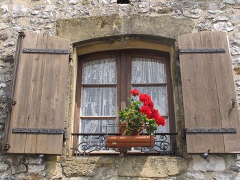 Low angle view of flower pot on window sill