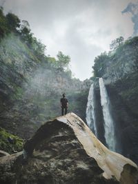 Low angle view of man standing on rock in forest against waterfall