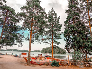 Bicycles parked by trees against sky