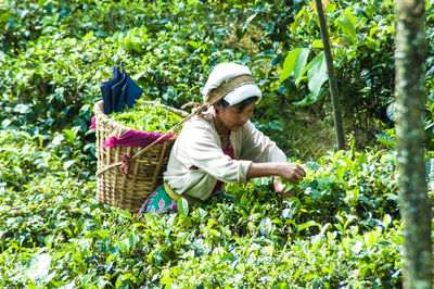 Rear view of woman sitting in basket against trees