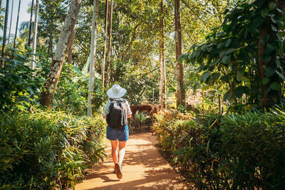 Rear view of woman walking in forest