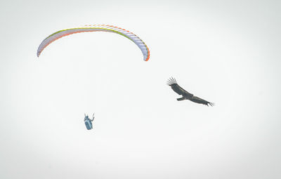 Low angle view of parachute