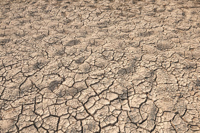 Full frame shot of cracked land