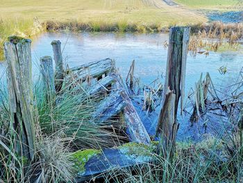 View of wooden posts in lake