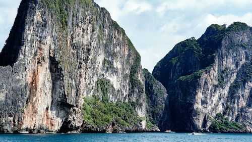 Low angle view of trees against sky